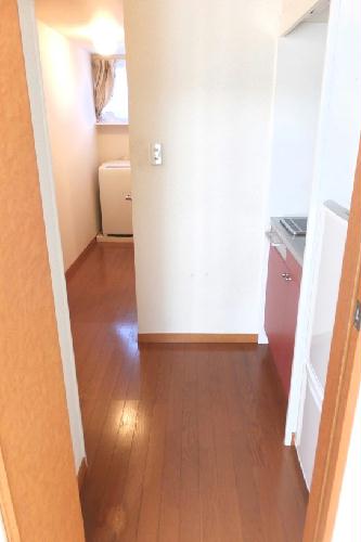 4/14 その他画像