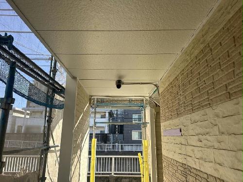 8/14 その他画像