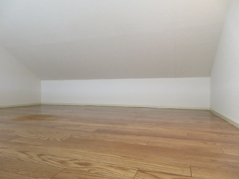 17/21 その他画像