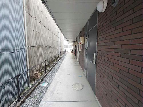 6/17 その他画像