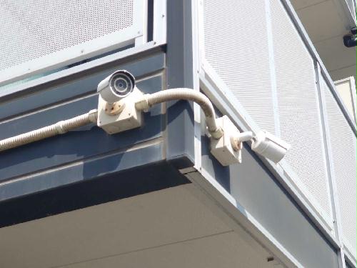 8/17 その他画像