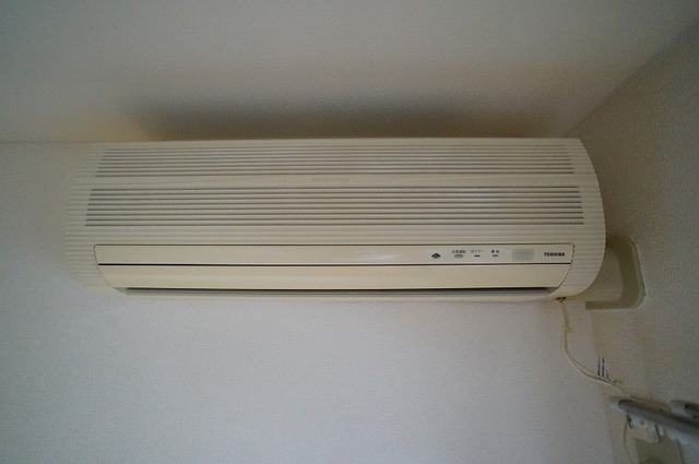 11/20 その他画像