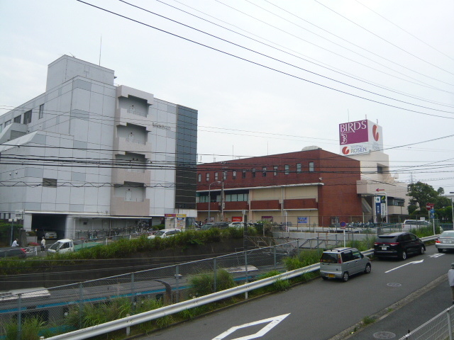 15/26 その他画像