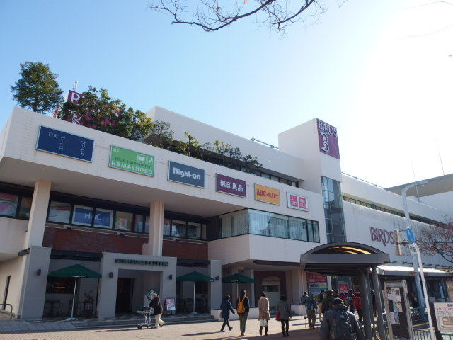 21/26 その他画像