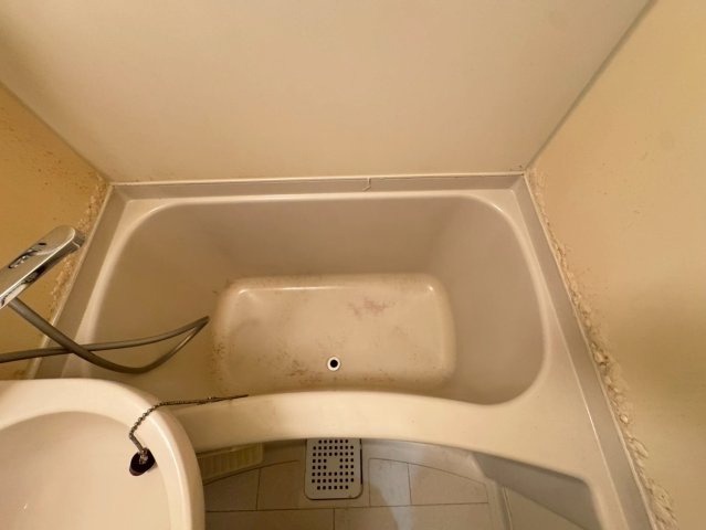 11/15 室内