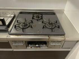 6/11 その他画像