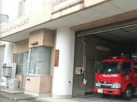 17/17 その他画像