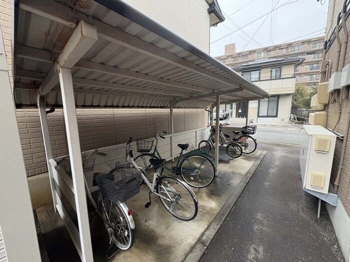 15/15 その他画像