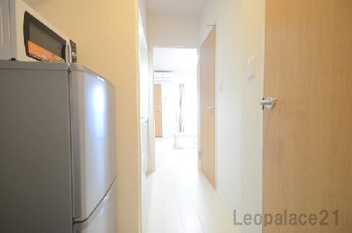 8/14 その他画像