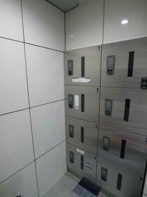 15/16 その他画像