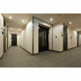 11/11 その他画像