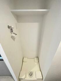 11/11 その他画像