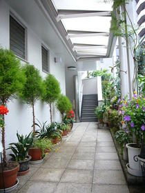 5/12 その他画像