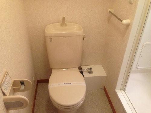 11/14 その他画像