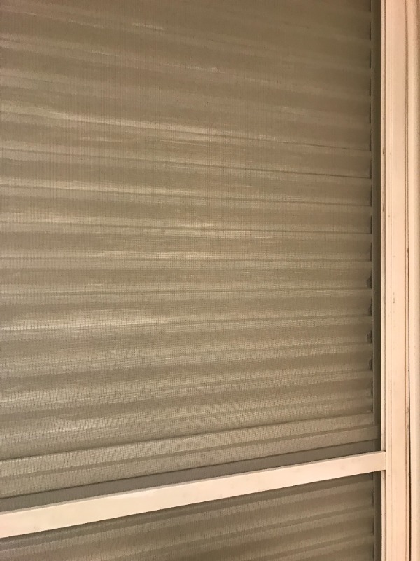 16/18 その他画像