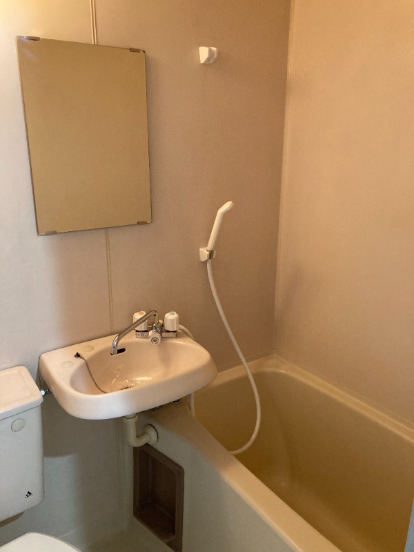 15/19 その他画像