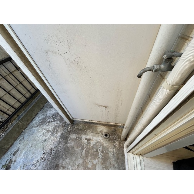 17/20 その他画像