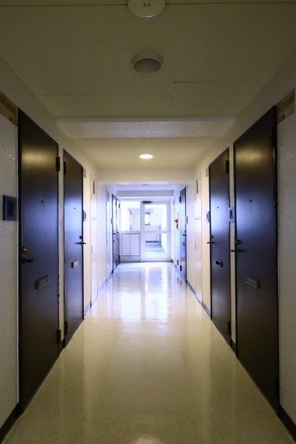 8/17 その他画像