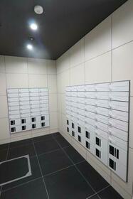 13/13 その他画像