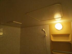 13/16 その他画像