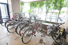 14/16 その他画像