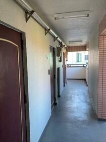 3/15 その他画像