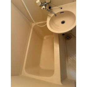 6/11 その他画像