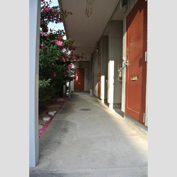 11/12 その他画像