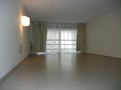 11/14 その他画像