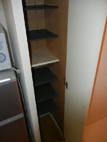 8/14 その他画像