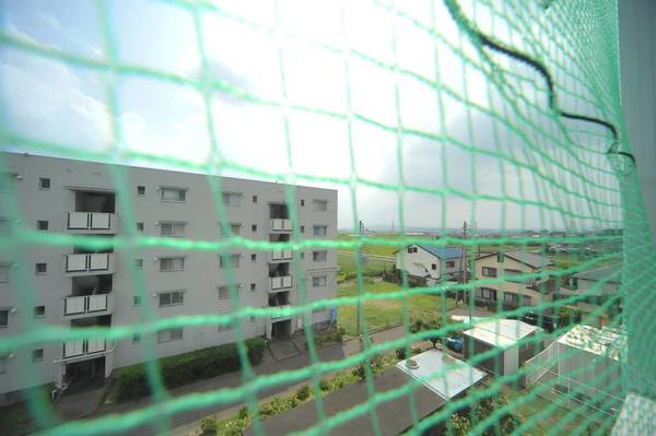 13/17 その他画像