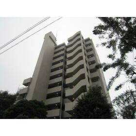 3/16 その他画像