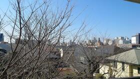 14/14 その他画像