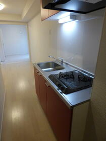 5/16 その他画像