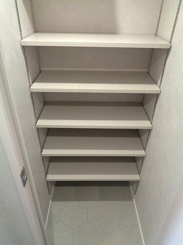 11/11 その他画像