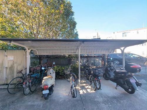 6/11 その他画像