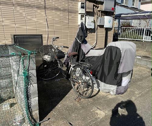 11/14 その他画像