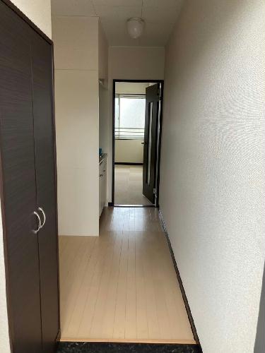 8/17 その他画像