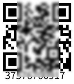 9/13 その他画像