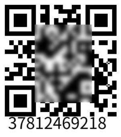 9/13 その他画像