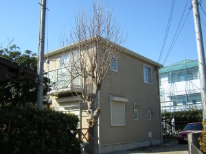 1/13 外観