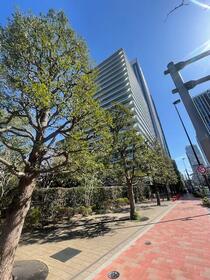 3/13 その他画像