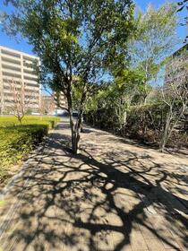 4/13 その他画像