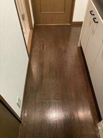 4/11 玄関