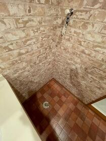 9/13 その他画像