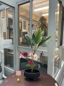 3/12 その他画像