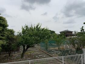 15/16 その他画像