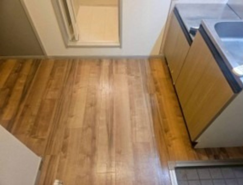 15/17 その他画像