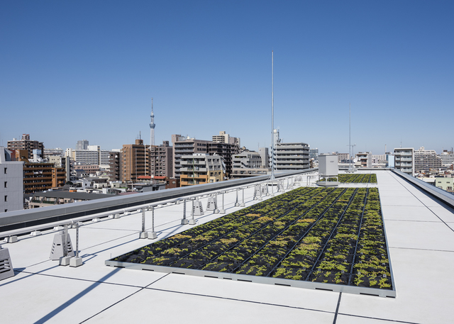 21/28 その他画像