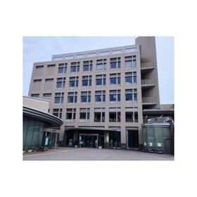 17/17 その他画像